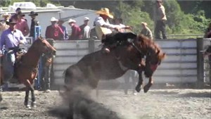 Local Rodeo's are often sponsored by horse clubs