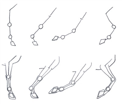 Anatomy Drawing: Leg, lateral low : u/Roberto_Osti