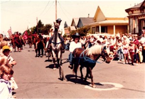 A cart pulling pony on parade!