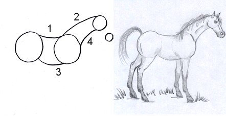 Horse Drawing Tutorial  How to draw Horse step by step